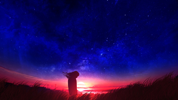 Anime Girl In Field Silhouette Sunset Wallpaper