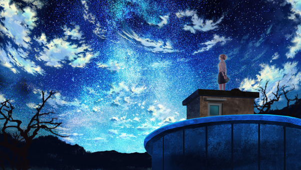 Anime Girl Under Infinite Stars (2560x1700) Resolution Wallpaper