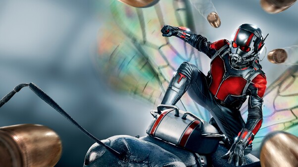 Ant Man 2015 Movie Wallpaper