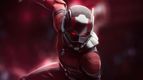 Ant Man 4k 2020 New Wallpaper