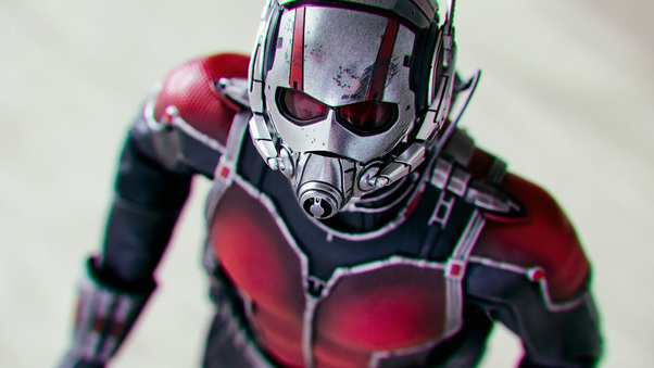 Ant Man A Soldier Size Of An Insect Wallpaper