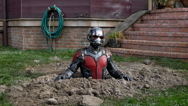 Ant Man And The Wasp 2018 Wallpaper