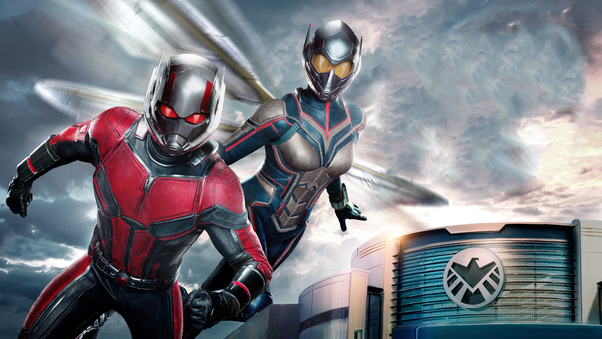 Ant Man And The Wasp 5k Wallpaper