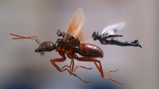ant-man-and-the-wasp-j4.jpg