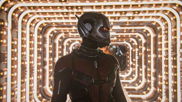 Ant Man And The Wasp Movie 5k Wallpaper