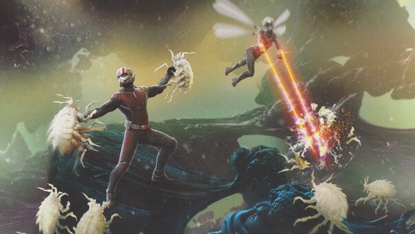 Ant Man And The Wasp Movie Concept Artwork Wallpaper