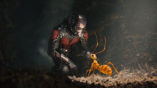 Ant Man Movie Wallpaper