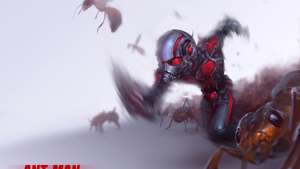 Ant Man4k Wallpaper