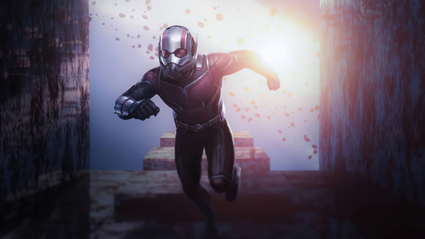 AntMan 4k 2020 Wallpaper