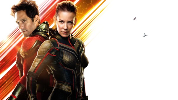 Antman And The Wasp 12k Wallpaper