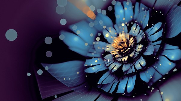 Apophysis Bloom Flower Digital Art Wallpaper