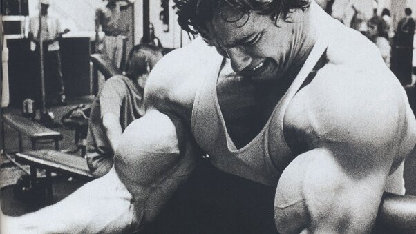 Arnold Schwarzenegger Arms Wallpaper
