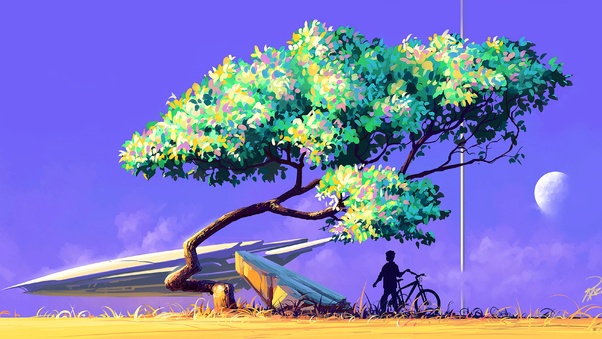 Artistic Nature View Bicycle 4k Wallpaper