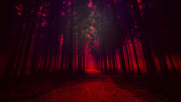 Artistic Red Forest Wallpaper