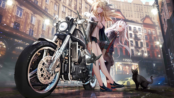 Asian Anime Girl With Bike Alongside Cat Wallpaper