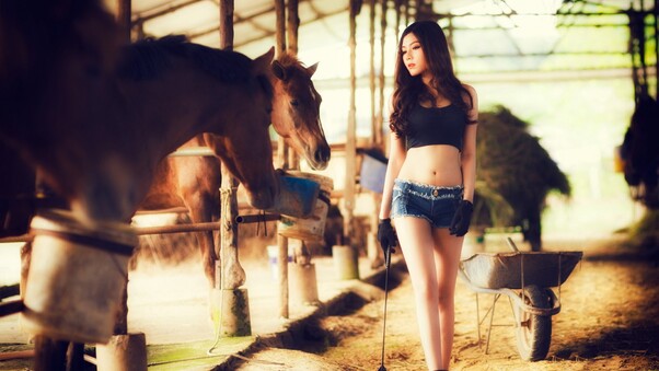 Asian Girl With Horses Wallpaper