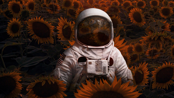 Astronaut In Sunflowers Field 4k Wallpaper