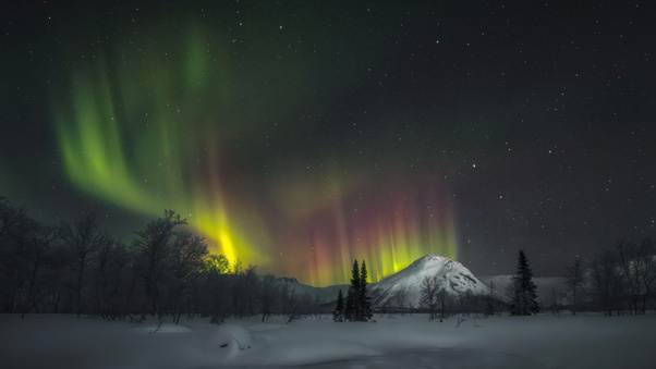 Aurora In The Vudyavr Valley Wallpaper