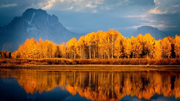 Autumn Trees On Lake Wallpaper