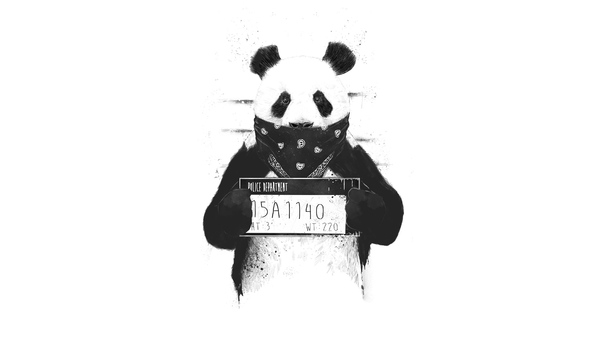 Bad Panda Wallpaper