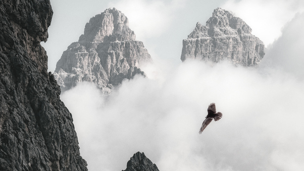 Bald Eagle Flying Through Clouds And Mountains 4k Wallpaper