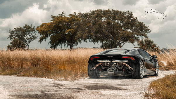 Bareback Huracan 8k Wallpaper