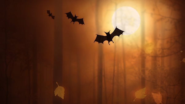 Bats Night Moon Trees Fallen Leaves Wallpaper