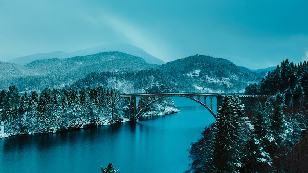 Beautiful Bridge Between Lake In Forest 4k Wallpaper