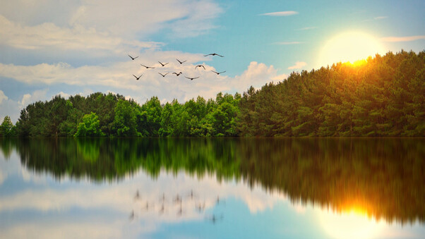 Beautiful Lake Birds Flying Wallpaper