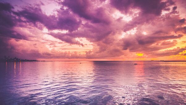 Beautiful Purple Sea And Pink Horizon Sunrise Wallpaper