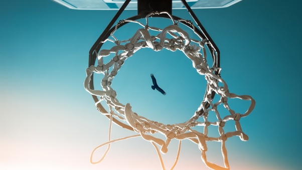 Bird View From Basketball Ring Wallpaper