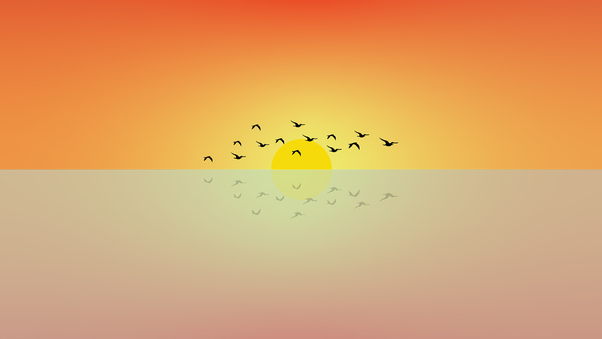 Birds Flying Sun Minimal 4k Wallpaper