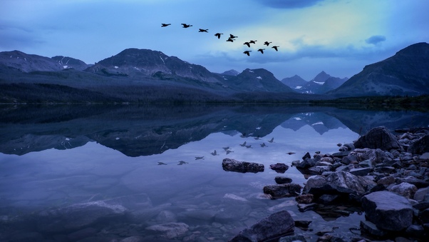 Birds Mountains Stones Evening Lake Wallpaper