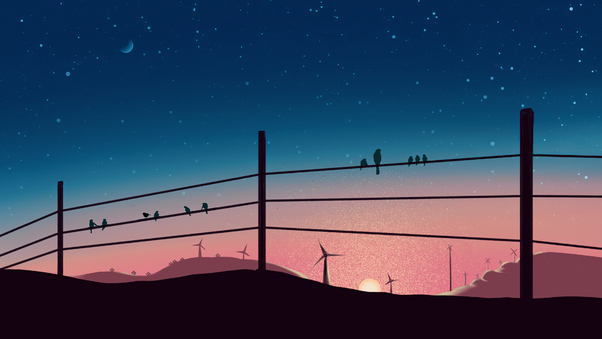 Birds Sitting On Powerline 4k Wallpaper