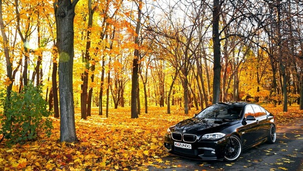 Black BMW In Forest Wallpaper
