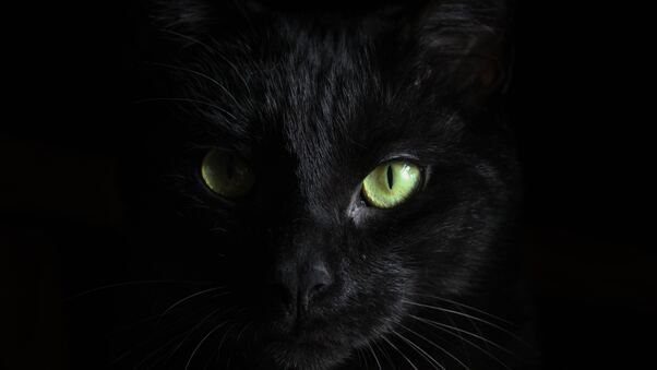Black Cat Green Eyes Wallpaper