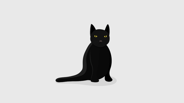Black Cat Minimal 5k Wallpaper