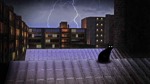 Black Cat On Rooftop Lightning 4k Wallpaper