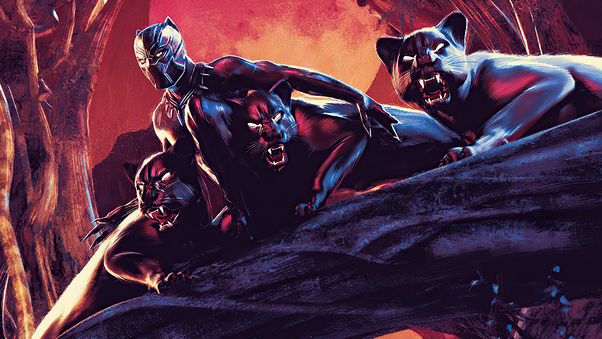 Black Panther Comic Poster 4k Wallpaper
