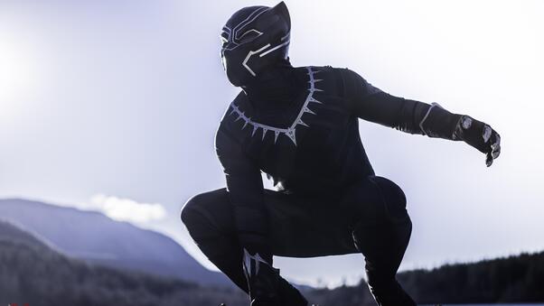 Black Panther The Protector Of Wakanda Wallpaper