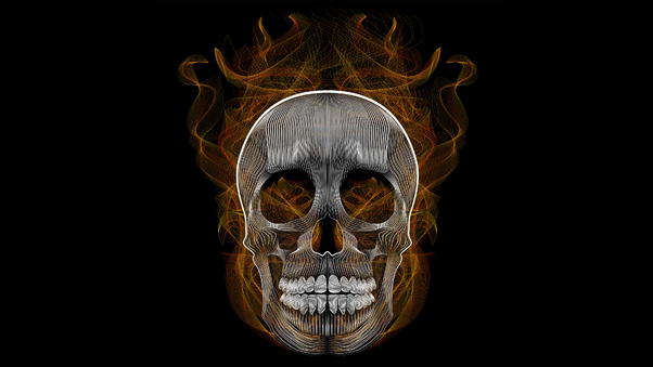 Blend Skull Vector Illustration Wallpaper