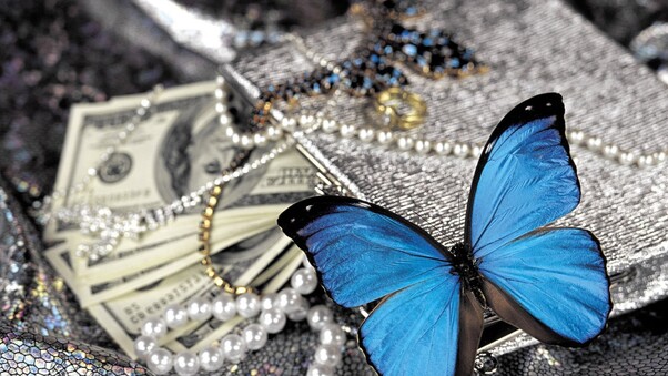 Blue Butterfly On Pearls Wallpaper