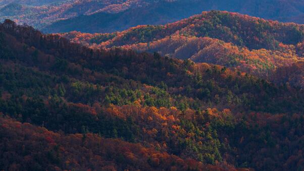 Blue Ridge Mountains In North Carolina 8k Wallpaper