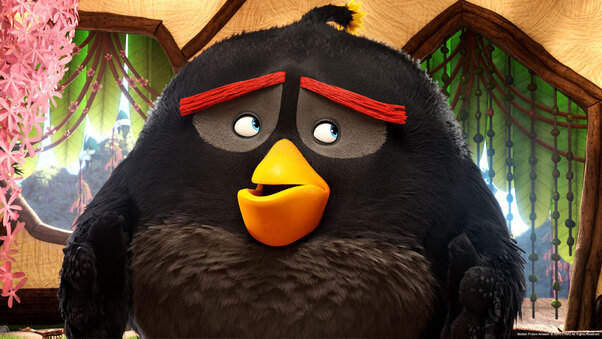 Bomb In The Angry Birds Movie Wallpaper