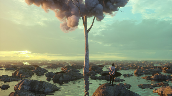 Boy Alone Clouds On Tree 4k Wallpaper