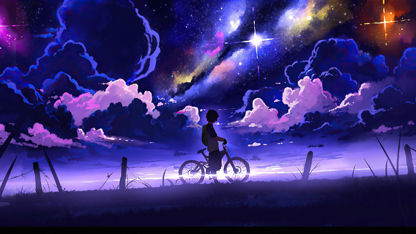 Boy With Bike Starry Evening Wallpaper
