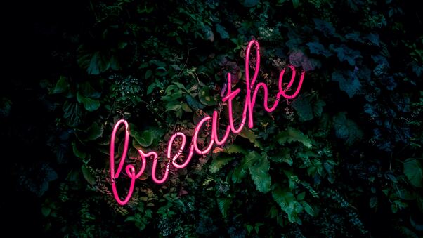 Breathe Nature Pink Wallpaper