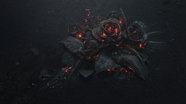 burning-roses-5k-4c.jpg