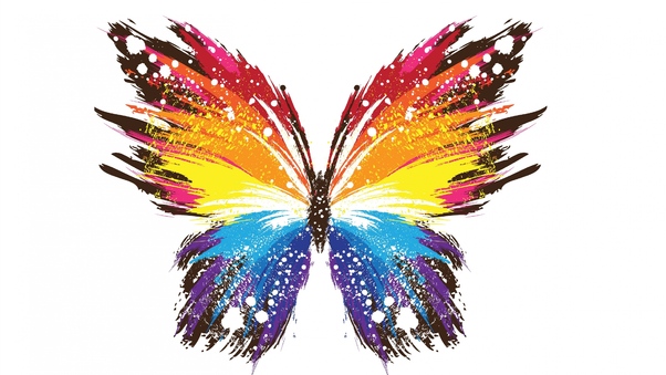 Butterfly Abstract Colorful Wallpaper