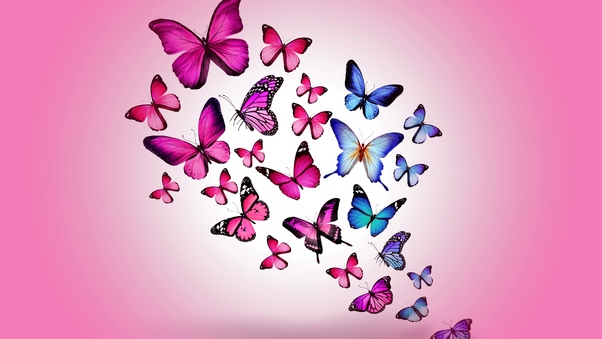 Butterfly Art 2 Wallpaper